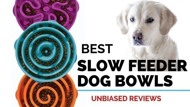 '10 Best Slow Feeders Dog Bowls | The Best Slow DOG Feed Bowl 2020'