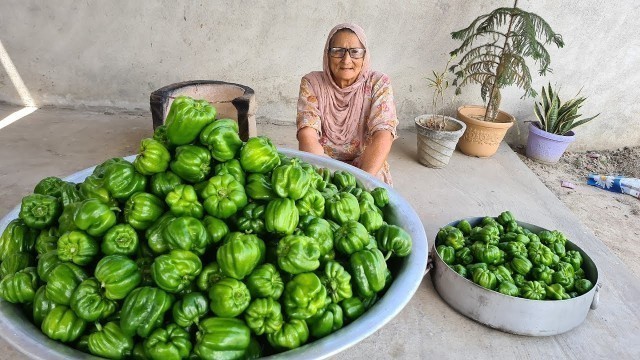 'CAPSICUM MASALA | CAPSICUM RECIPE | SHIMLA MIRCH | IN HINDI | VILLAGE COOKING | VEG RECIPES'