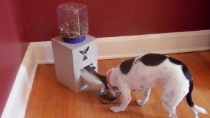 'Cardboard crafts /How To Make Cardboard Dog Feeder/DIY dog Dispenser/纸板制作小狗自动喂食器'