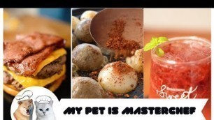 'Super pets making food (Cat and Dog) | China Tiktok | Part 3'