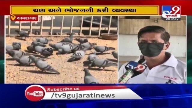 'Paldi man keeps food grains at public places for birds amid lockdwon, Ahmedabad'