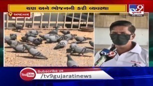 'Paldi man keeps food grains at public places for birds amid lockdwon, Ahmedabad'