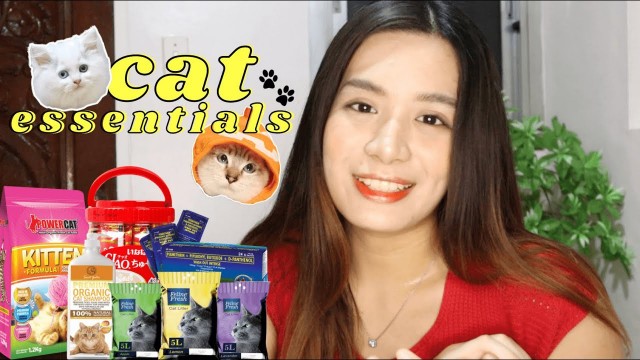 'cat essentials | persian cats | philippines || louise zareno'