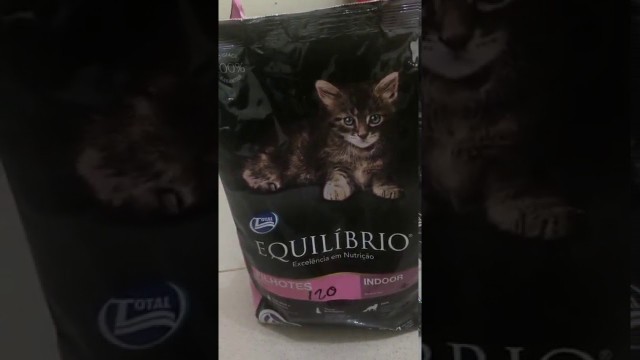 'review cat food super premium equilibrio kitten'