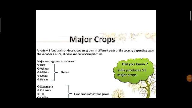 'Major Crops/Food Grains'