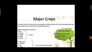 'Major Crops/Food Grains'