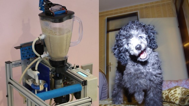 'Automatic dog feeder for dog with megaesophagus DIY Part 1'