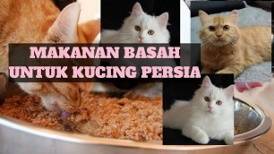 'CARA MEMBUAT MAKANAN BASAH UNTUK KUCING PERSIA'