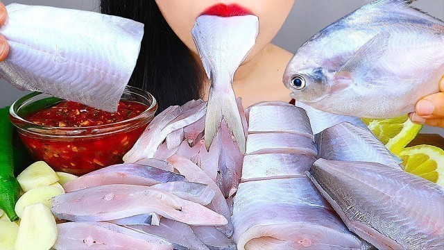 'ASMR 병어회 먹방 KOREAN SEAFOOD MUKBANG *RAW BUTTER FISH(Siver Pomfret)* NO TALKING EATING SOUNDS'