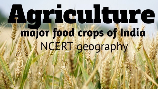 'NCERT Class 10 Geography /food crops other than grains /CBSE'