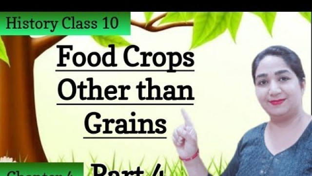 'Food Crops other than Grains | Agriculture | Geography | Class 10 | Luniyal classes'