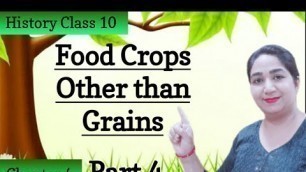 'Food Crops other than Grains | Agriculture | Geography | Class 10 | Luniyal classes'