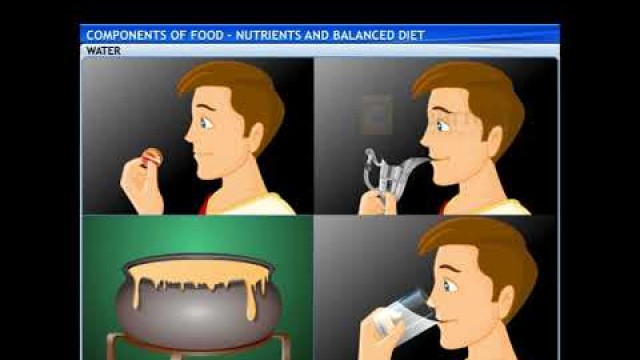 'Class 6 | Science | Components of Food | Nutrients and Balanced Diet'