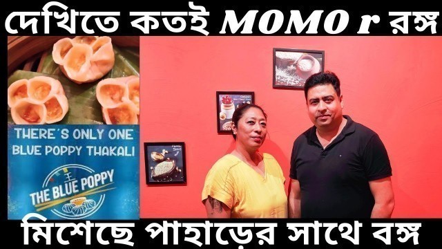 'Blue Poppy Thakali | Doma Wang | Kolkata\'s Best Momo | Kalimpong Food in Kolkata | TheVlogicalBong'