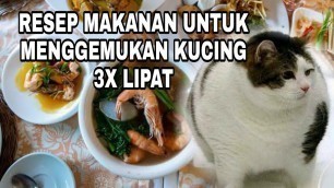 'Tips Membuat Wet Food Kucing Gemuk 3x Lipat ?!'