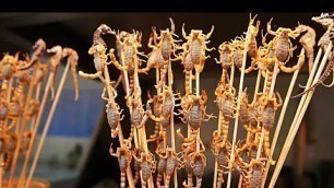 'Chinese Street Food -  Live Scorpions, Insects, Tiger Claws China'