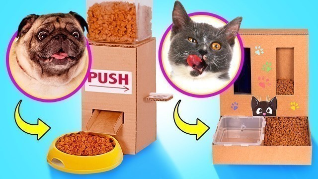 'MAKE YOUR PET HAPPY || DIY Food Dispensers For Pets'