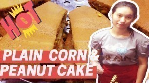 'MALAYSIAN STREET FOOD-HOT PLAIN CORN AND PEANUT CAKES'