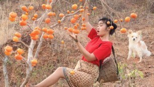 'wow meet mandarin orange fruit natural for food eating delicious'