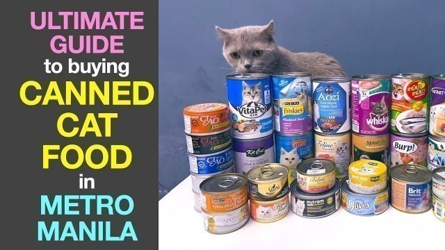 'Ultimate Guide to buying CANNED CAT FOOD in Metro Manila'