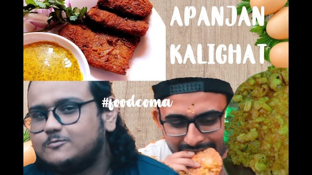 'APANJAN | KOLKATA STREET FOOD | FISH FRY | KALIGHAT | KOLKATA | #foodcoma'