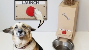 'How to make Amazing Dog Food Dispenser with Button'