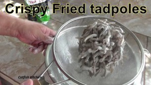 'Crispy Fried Tadpoles, Eating baby frogs in the catfish kitchen'