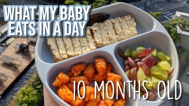 'What my 10 Month Old Baby Eats in a Day - Baby Led Weaning'