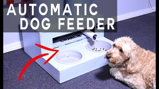 'I Built an Automatic Dog Feeder!!'