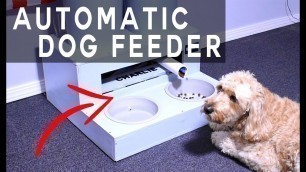 'I Built an Automatic Dog Feeder!!'