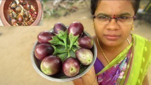 'Traditional Brinjal Chutney Recipe | Different way to cook | VILLAGE FOOD'