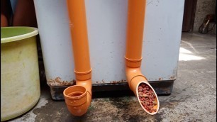 'Customized Dog Feeder'