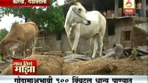 'Gaon Tithe Majha  7pm: gadchiroli: korchi: foodgrains spoiled 1808'