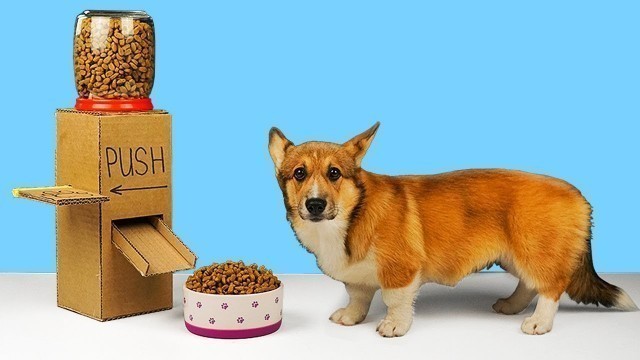 'DIY Dog food dispenser from cardboard!'