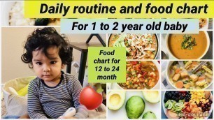 'Food Chart And Daily Routine for 1 to 2 year old baby/complete Diet Plan For 12 to 24 Month old Baby'