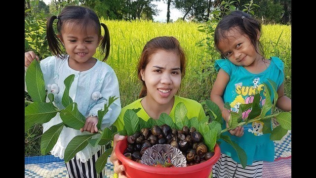 'Awesome Cooking Snails Delicious Recipe -Cook Snails Recipes -Village Food Factory -Asian Food'