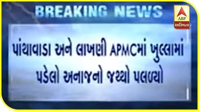 'APMC Food Grains Destroyed After Heavy Rains In Banaskantha | ABP Asmita'