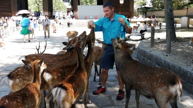 'Japan: Foodie Adventure in Osaka'