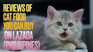 'Reviews of Cat Food You Can Buy on Lazada Philippines'