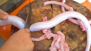 'Thai Street Food: COBRA SNAKE MEAT | Bangkok, Thailand'