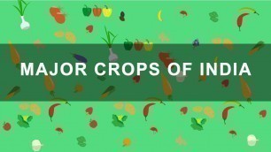 'Major Crops of India - Rabi, Kharif, Zaid crops | Indian Agriculture, Geography'