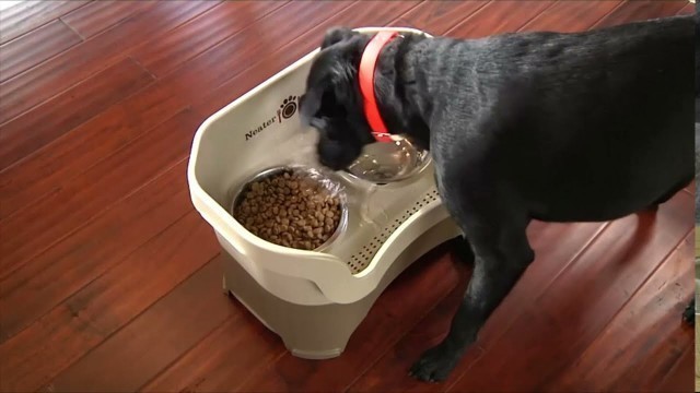 'Neater Feeder Express Elevated Dog and Cat Bowls - Stainless Steel Food and Water Bowls'