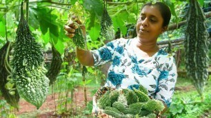 'Three special bitter gourd recipes for healthy food meal  .village kitchen recipe.Sri Lanka foods'