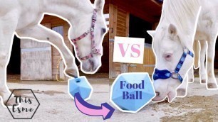 'HORSE FOOD BATTLE! Mickey Vs Casper! AD | This Esme'