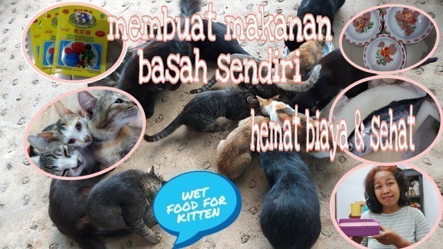 'MEMBUAT MAKANAN BASAH BUAT KITTEN || WHISKES ala aku || bisa irit biaya rasanya tidak kalah lhooo'