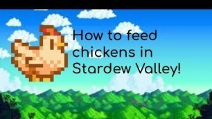 'How to feed chickens in Stardew Valley'