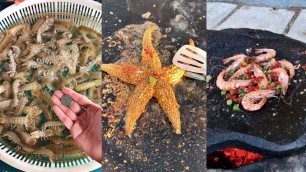 'Frugal Man Cooked Gourmet Seafood Dish in a Budget | Eating Starfish, Pipim Shrimp, Seaweeds & more!'