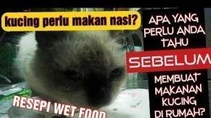 'SUSAH TAK BUAT MAKANAN KUCING HOMEMADE? APA YANG KUCING ANDA PERLUKAN SEBENARNYA? RESEPI WET FOOD'