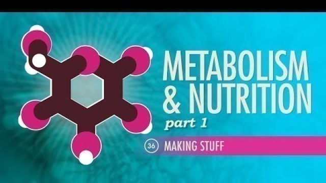 'Metabolism & Nutrition, Part 1: Crash Course A&P #36'