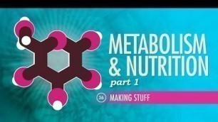 'Metabolism & Nutrition, Part 1: Crash Course A&P #36'